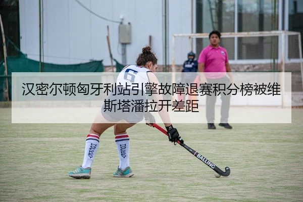 汉密尔顿匈牙利站引擎故障退赛积分榜被维斯塔潘拉开差距